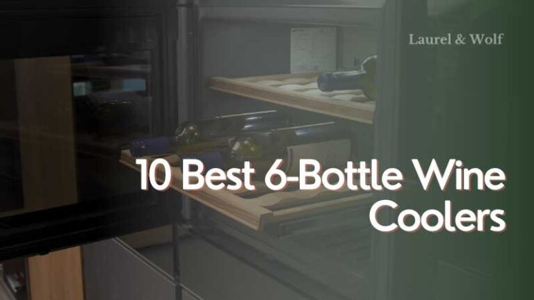 10 Best 6 Bottle Wine Coolers 2023 Reviews And Buying Tips 4865