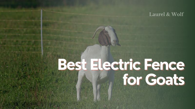 Best Electric Fence for Goats