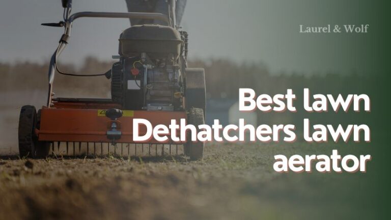 Best Lawn Dethatchers and Lawn Aerators for a Lush Green Lawn