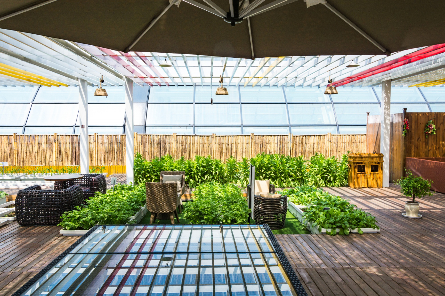 Integrating Your Deck with Your Garden